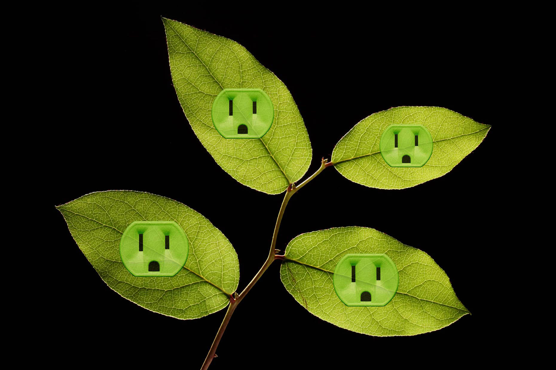 ElecrticLeafOutlets