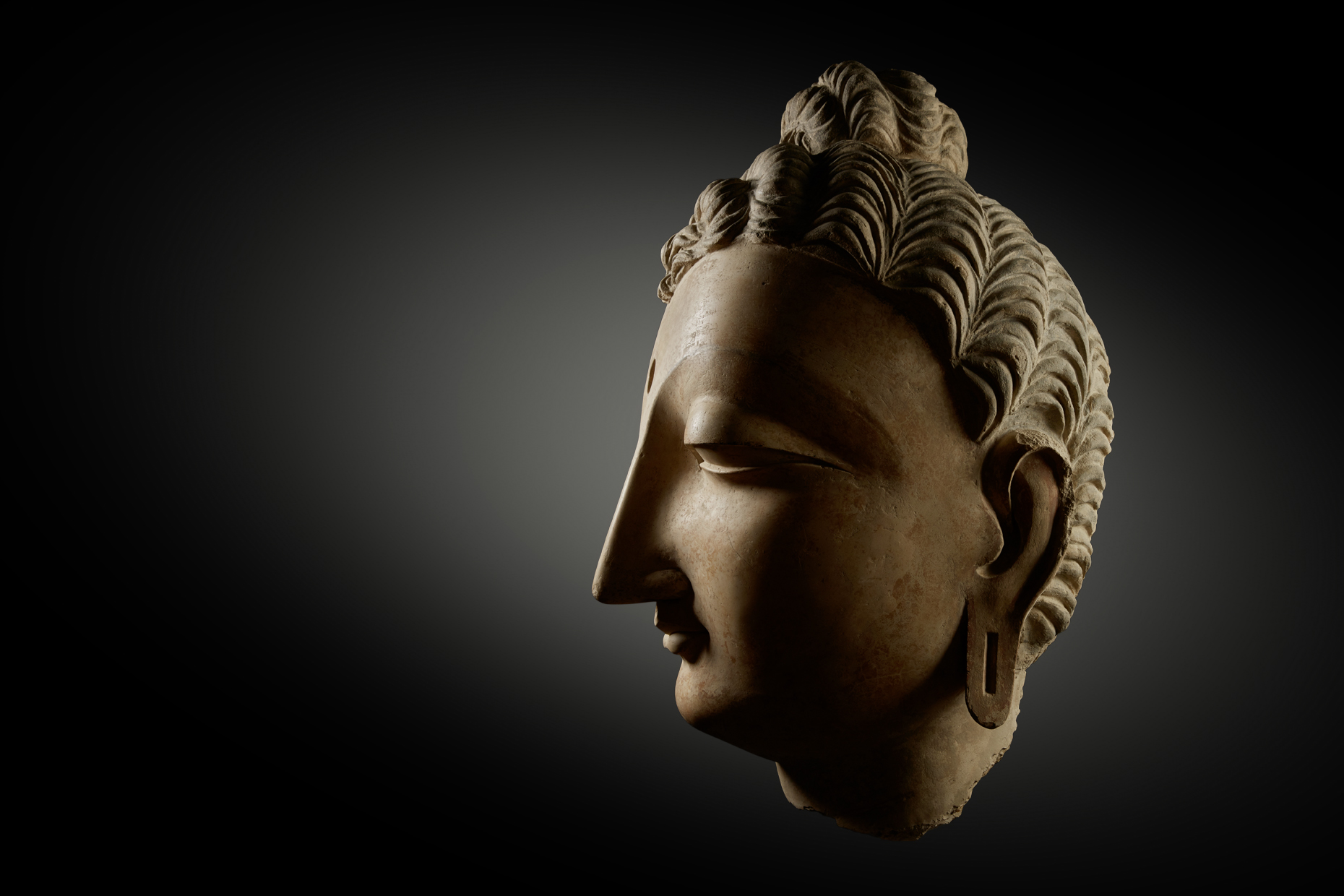 Himalayan Head