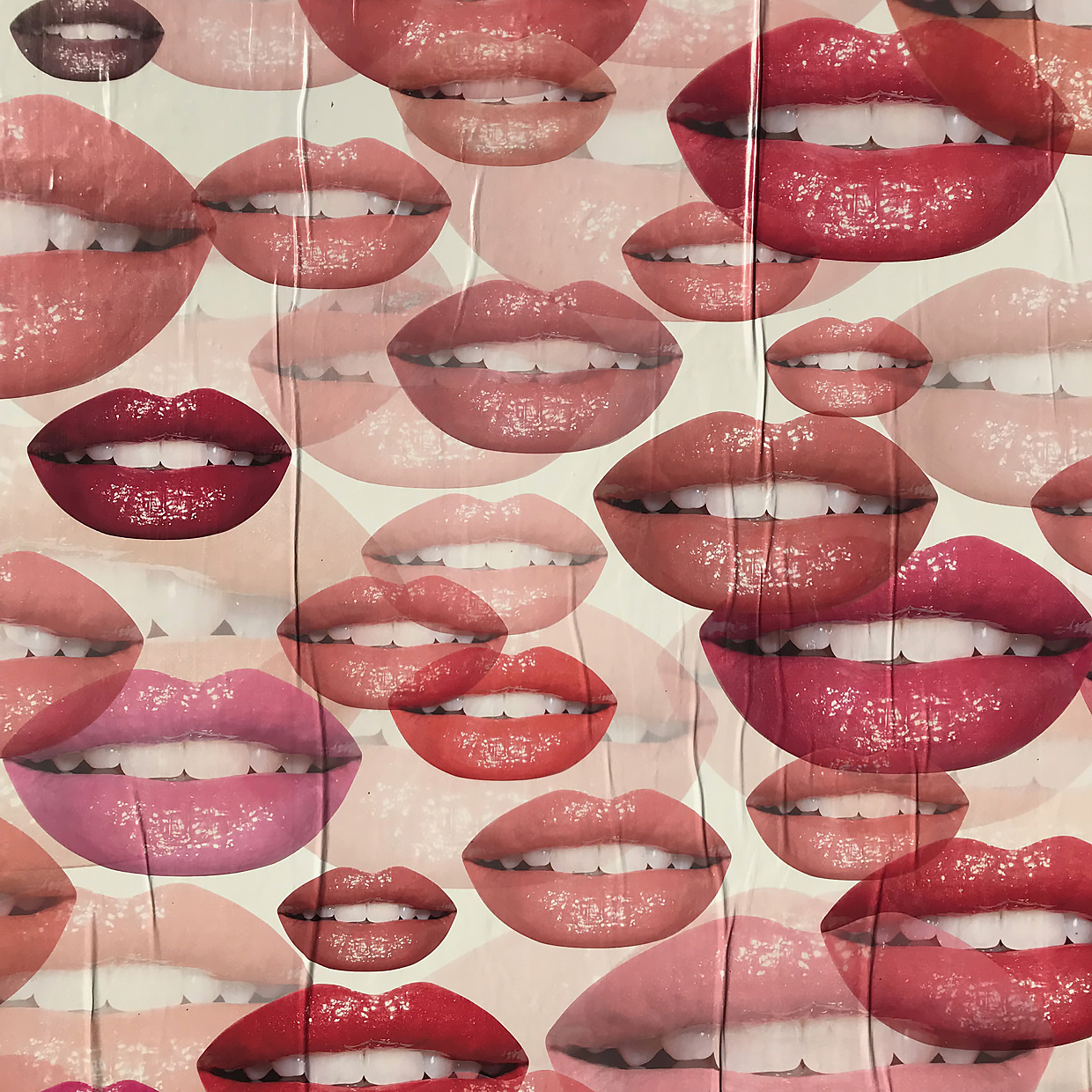 Multiple lips